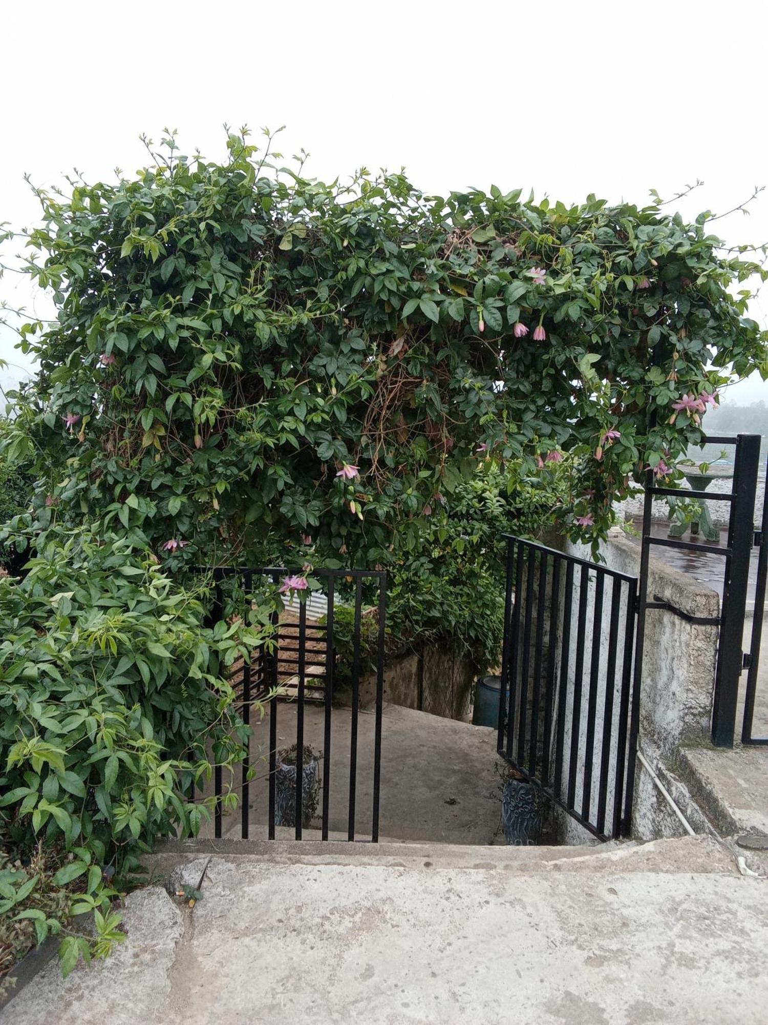 The Paulwood Cabana Home Stay نوفارا إيلِيا المظهر الخارجي الصورة