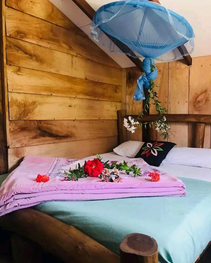 The Paulwood Cabana Home Stay نوفارا إيلِيا المظهر الخارجي الصورة
